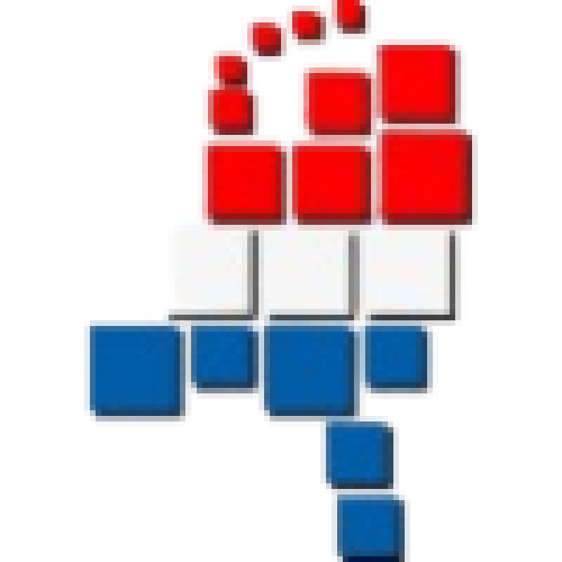 NSSA logo.